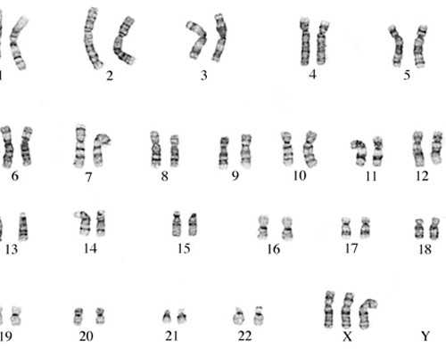 古玩店算倒卖文物吗,12星座男生春节相亲手册