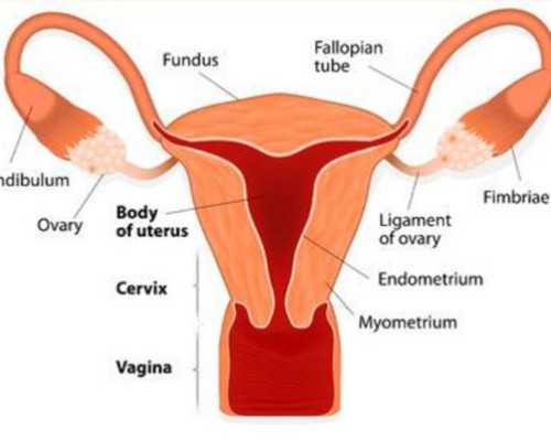 香港验血鉴定男女邮寄,引产后不孕不育的概率