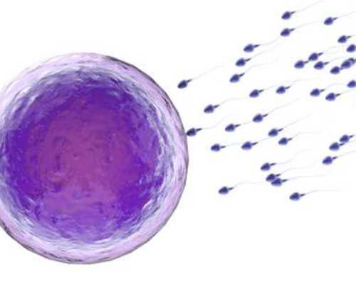 香港验血查性别mkm机构_想香港验血怎样联络需求提早几天预定