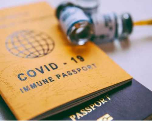 香港邮寄验血经历,做试管卵泡多大可以取出培养成囊胚？