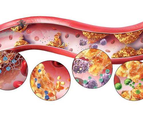 香港验血的准确率是多少_香港怀孕几个月可以查男女的_有什么需要注意的