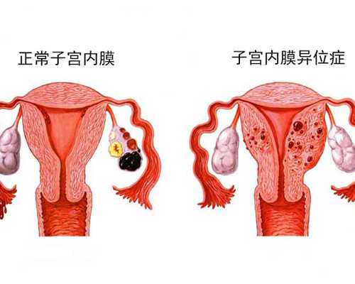 临夏古玩鉴定,梦见北斗七星是什么意思做梦梦到北斗七星好不好