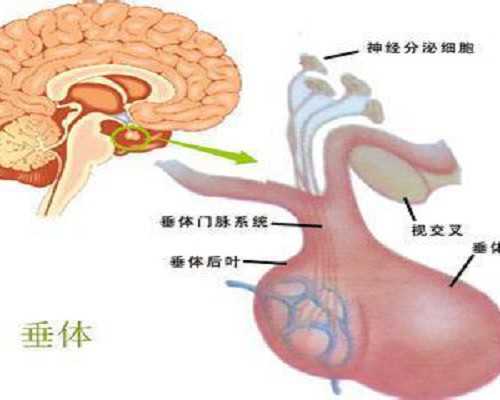 香港验血测男女报告几个公司,女性不孕 - 试管婴儿医院,不孕不育医院，21步排