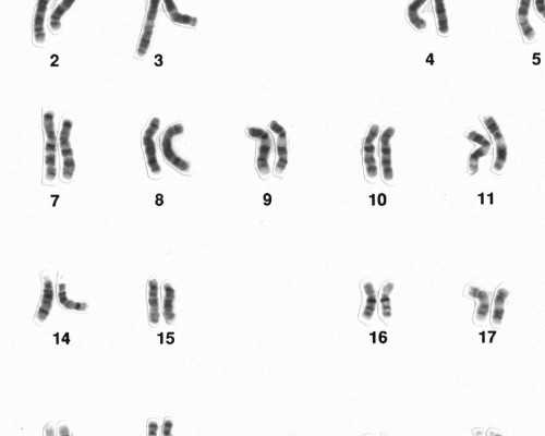 怀多久可以香港验血,消除孕育障碍，看看有哪些助孕的小方法