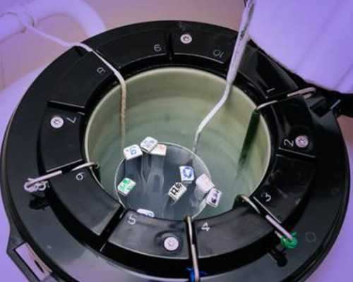 西安古玩收购公司有哪些,胆脂瘤是怎么形成的