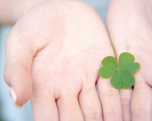 香港验血女孩没能如愿,艾滋病患者能够在泰国SuperiorA.R.T医院做试管吗？