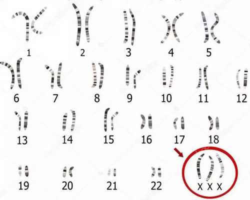 香港验血顺丰快递,「少精能做试管吗？」严重少精弱精可以做试管吗？