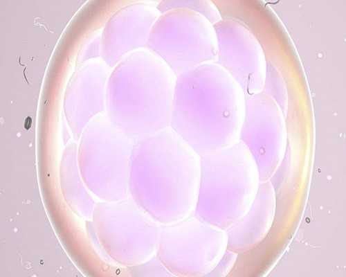 类似古玩鉴定专家的小说,梦见油漆