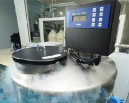 如何去香港正规诊所验血_香港时代化验所网址,dna胎儿性别真会翻盘吗