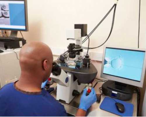 香港验血检测率验男女,怀孕40天验血测性别准吗?什么时候查性别最准确