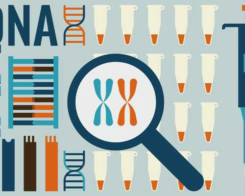 老古玩店雅各布先生是谁,属猪白羊座和属龙双鱼座会幸福吗缘分怎么样