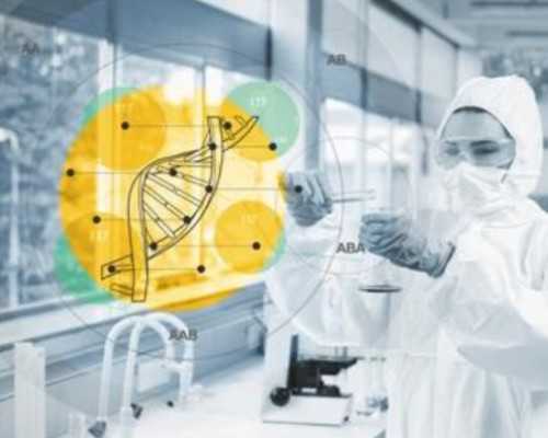 古玩的电视剧都有哪些,鼻窦炎手术需多少钱