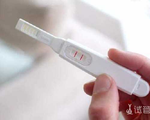 香港验血时代电话多少钱,女孩备孕成功经验分享