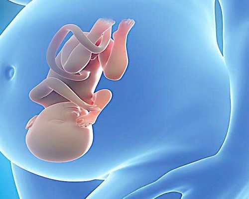 香港验血报告单图男孩,香港验血查男女很准吗_亲身经历详细攻略!