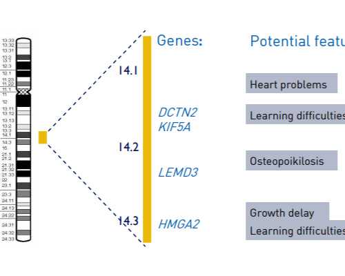 香港验血查男女攻略 深圳,香港查血看胎儿性别应该注意什么地方?希望可以提醒