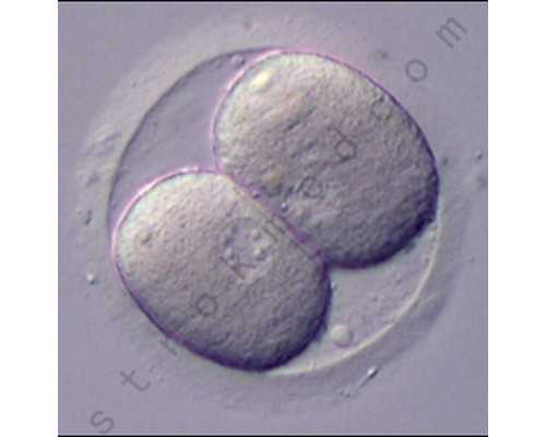 林州市古玩市场图片,双鱼天秤适合在一起吗有安全感归属感