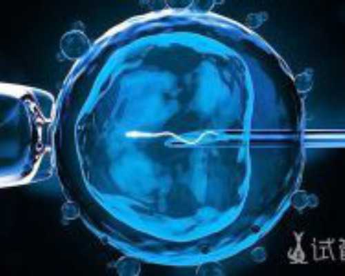 怀孕双胎香港验血有Y染色体存在,备孕经验分享 基础体温的计算方法