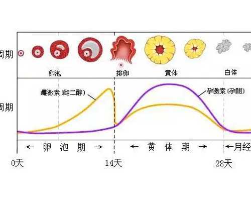 太原古玩市场在哪里,脖子上出现白斑是怎么回事脖子白斑是什么原因
