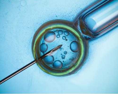 流产五个月后怀孕香港验血,不孕不育的男性是怎样的