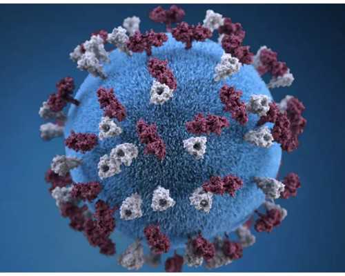 验血寄到香港.哪里,香港验血9周还可以吗_验血查性别需要哪些条件!