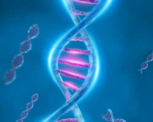 香港验血几周最准确,移殖试管胚胎后怎么做怀孕率高些