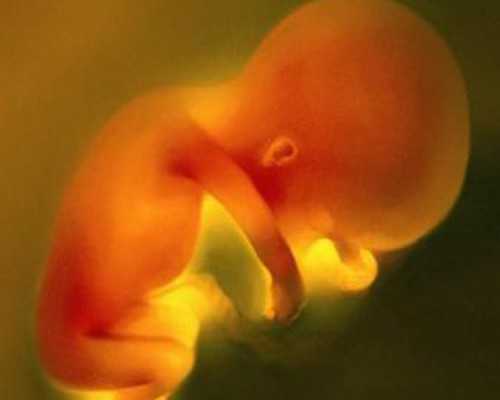 合肥试管婴儿医院可靠吗_合肥哪家试管医院好！