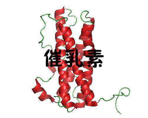 香港验血鉴定男女检查什么,经期恶心是子宫内膜异位症吗？
