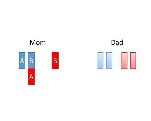 香港验血男女纠纷,试管宝宝会不会更聪明一些？
