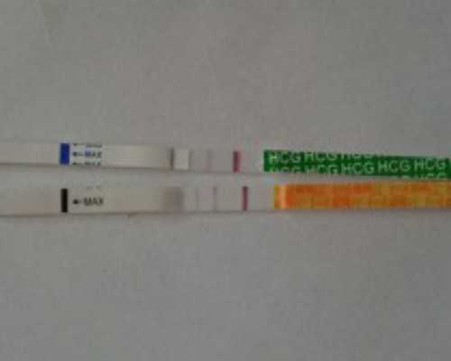 孕28周也可以香港验血吗,香港胎儿验血报告单怎么看_验血查男女要多少钱!