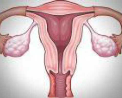 古玩虫全集免费观看,生辰八字五行缺火有什么补救办法