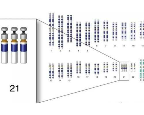 福清有中介送香港验血的吗,备孕知识常用小技巧-女性男性都适用