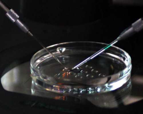 北京邮寄 香港验血,【女不孕不育检查项目】女性不孕不育要做的检查项目