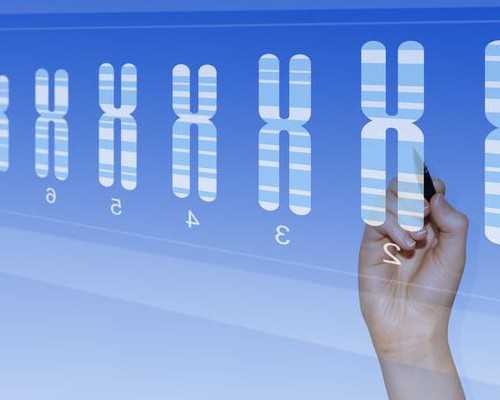 香港验血测男女不准的,香港验血寄血注意事项_香港验血是不是真的_要多少钱