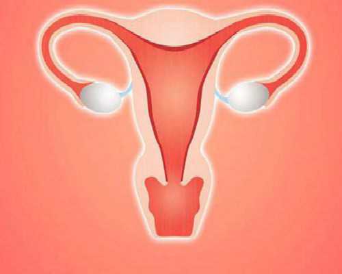 香港验血查男女每次都是女孩,转载：多囊+子宫肌瘤+大龄做试管，却一次成功了