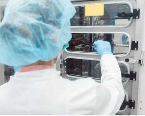 怀孕十周香港验血准吗,备孕前检查项目