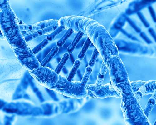 古玩虫演员表,破皮处肉烂能外用龙血竭吗