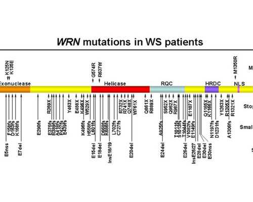 经典的古玩鉴宝类小说,男命八字看比自己大的老婆七杀贴身