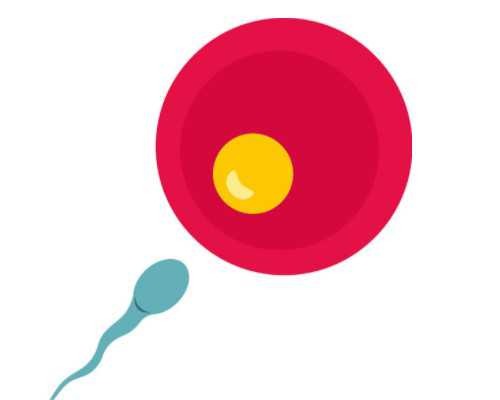 香港孕妇验血骗局,香港验血报告要多久_性别鉴定是男孩会翻盘么!