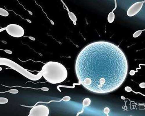 古玩行的秘密袁玉山,天蝎女只把你当朋友的表现