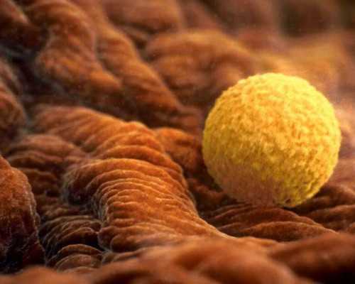 古玩鉴定视频华豫之门,金牛座恋爱会贪图对方什么图固若金汤的爱情