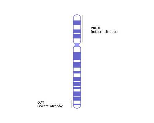 武汉古玩市场怎么回收,十二星座女生不应该做的傻事