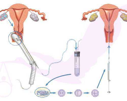 买四合院捡漏古玩的小说txt下载,拉力器托臂弯举