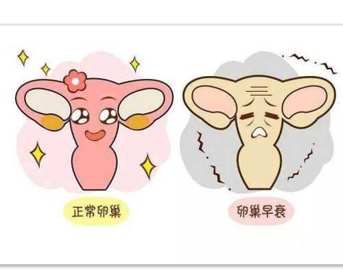 孕妇能到香港验血吗,流产3个月可以去香港验血查男女_查性别真的准确吗