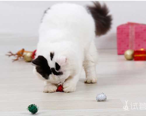 怀孕六周能到香港验血_“靡不有初，鲜克有终”是什么意思“靡不有初，鲜克