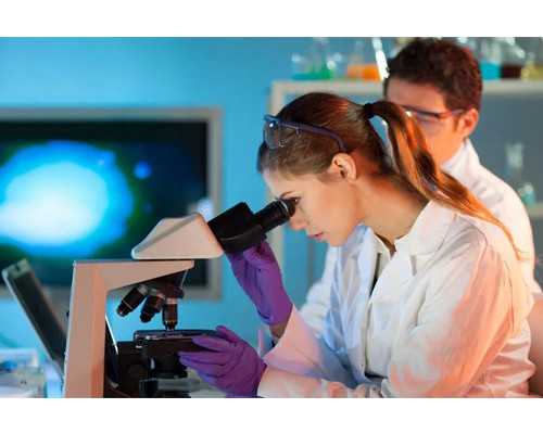 香港验血分辨胎儿性别,怀孕50天查血看男女_验血查性别真的靠谱吗