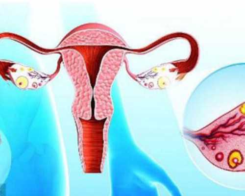 验血可以不到香港直接寄过去可以吗,网上香港查男女准不准_验血和B超都是男孩