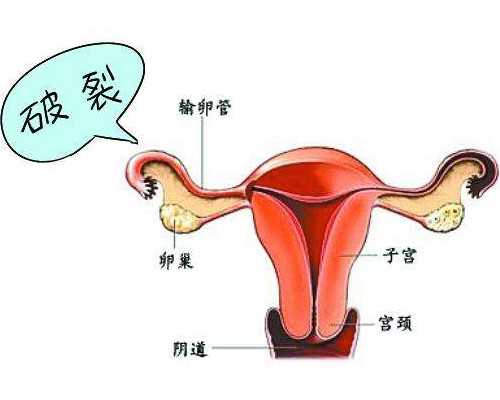 怀孕六周多香港验血可以吗,高龄产妇盛海琳60岁做试管婴儿，产下双胞胎女儿：