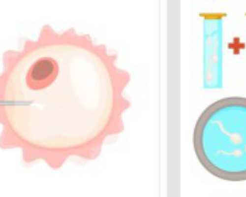 怀孕几天能去香港验血贵吗,香港验血空腹可以吗_验血查男女是真还是假!