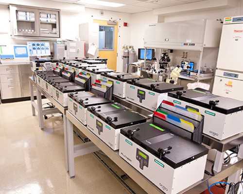 香港验血会因时间没验出y吗,宫颈糜烂能赴美做试管婴儿吗?成功率如何保障?