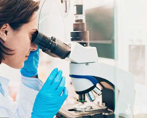 知名古玩收藏家,天秤座男和巨蟹座女恋爱会有结果吗姻缘指数分析